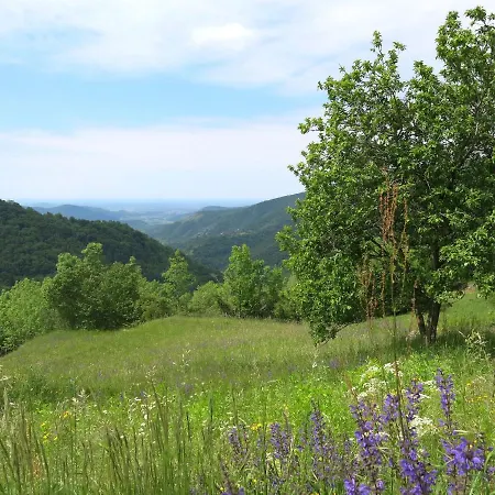 بيت للعطل Casa Lienartova By Interhome Grimacco