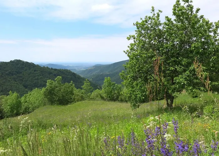 Nyaraló Casa Lienartova By Interhome Grimacco
